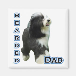 Imán Collie Dad 4 - Magnet