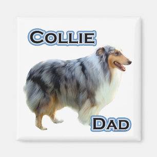 Imán Collie Dad 4 - Magnet