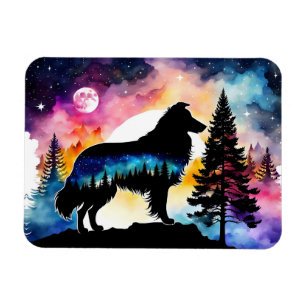 Imán Collie en la cima de una montaña sobre un colorido