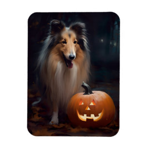 Imán Collie en masa de Halloween con calabazas aterrado