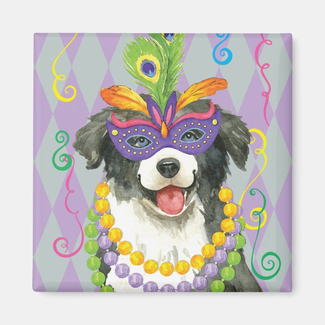 Imán Collie fronteriza de Mardi Gras (Frente)