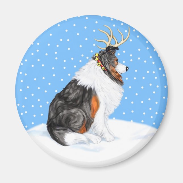 Imán Collie Navidades Reindeer Tri (Frente)