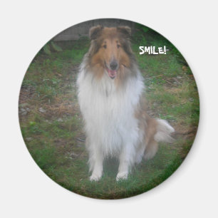 IMÁN ¡COLLIE SMILE!