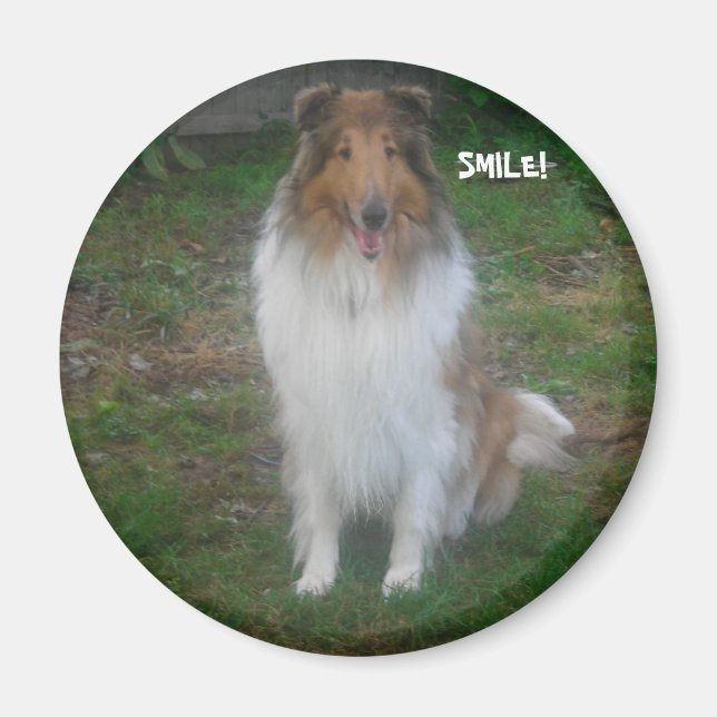 IMÁN ¡COLLIE SMILE! (Frente)