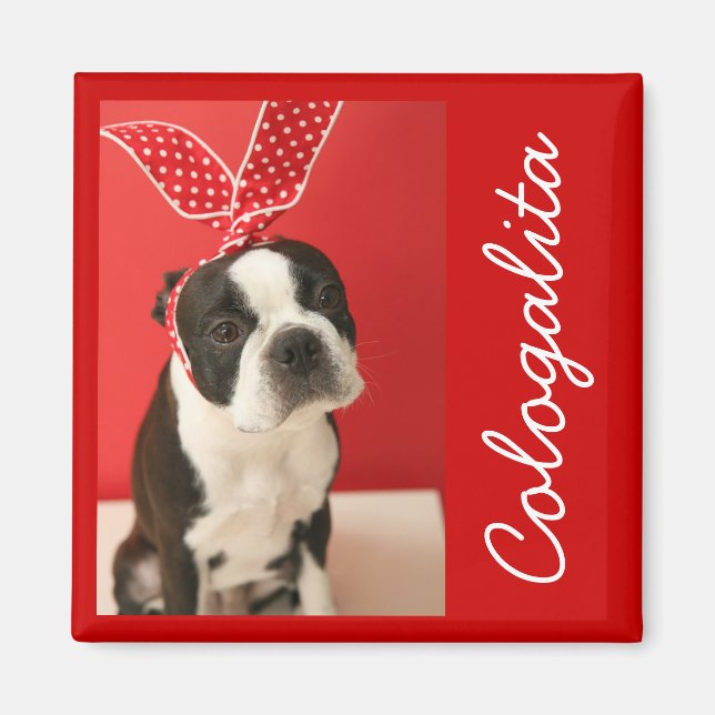 Imán Cologalita Usamimi Magnets (Frente)