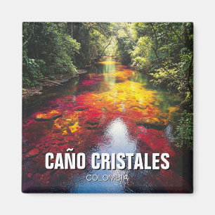 Imán Colombia Cano Cristales Viajes
