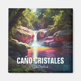 Imán Colombia Cano Cristales Viajes