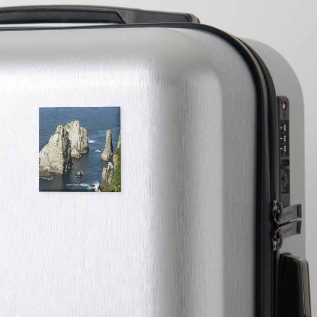 Imán Colonias Chowiet de aves marinas, Alaska (In Situ (Equipaje))