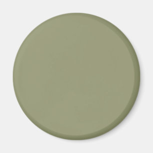 Imán Color de color oscuro verde de sabio 91946E - Opci