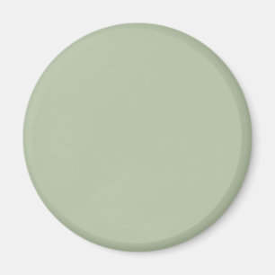 Imán Color de color verde claro