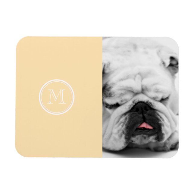 Imán Color de gama alta ligero (Horizontal)