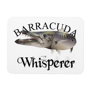 Imán Color de la luz del sabio Barracuda