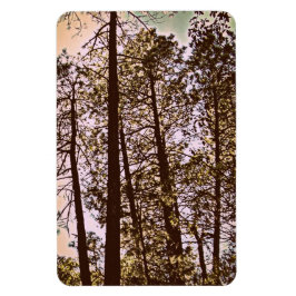 Imán color de los árboles