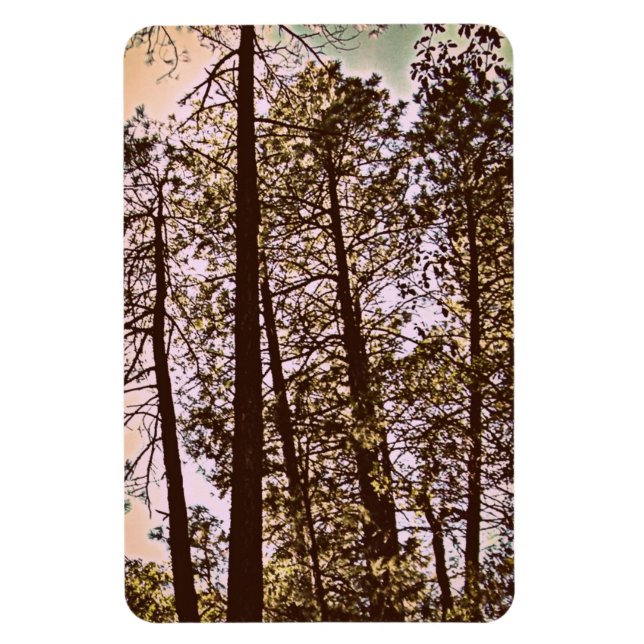 Imán color de los árboles (Vertical)