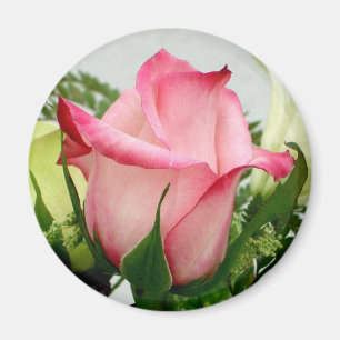 Imán color de rosa rosado