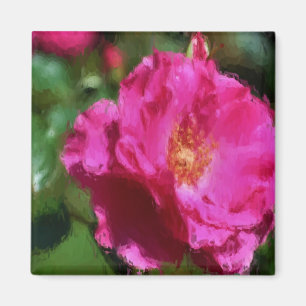Imán color de rosa rosado de la flor del dibujo de