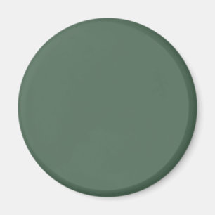 Imán Color sólido verde de eucalipto seco
