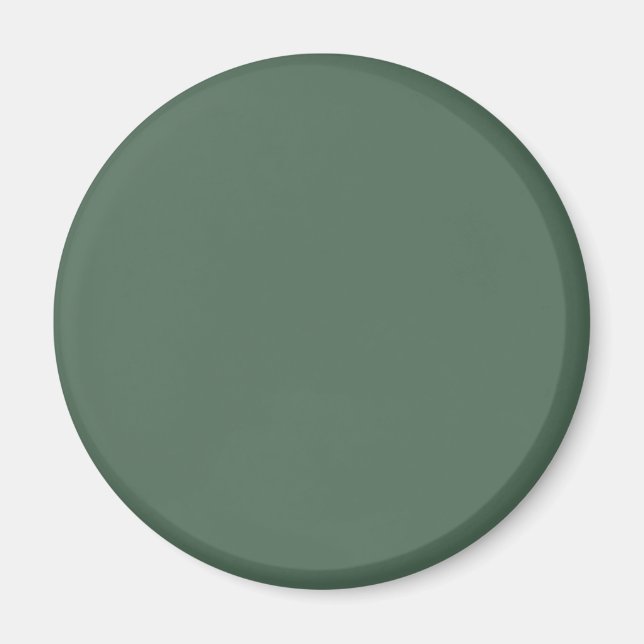 Imán Color sólido verde de eucalipto seco (Frente)