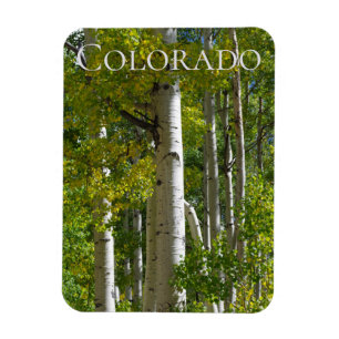 Imán Colorado Aspens Designer Fridge Magnet