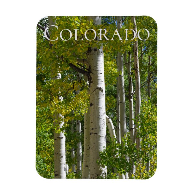 Imán Colorado Aspens Designer Fridge Magnet (Vertical)