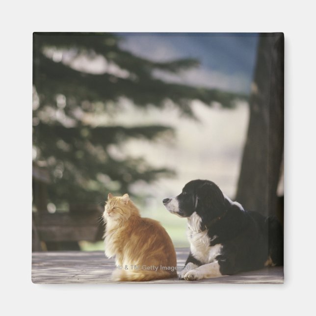 Imán Colorado Occidental, Estados Unidos (Frente)