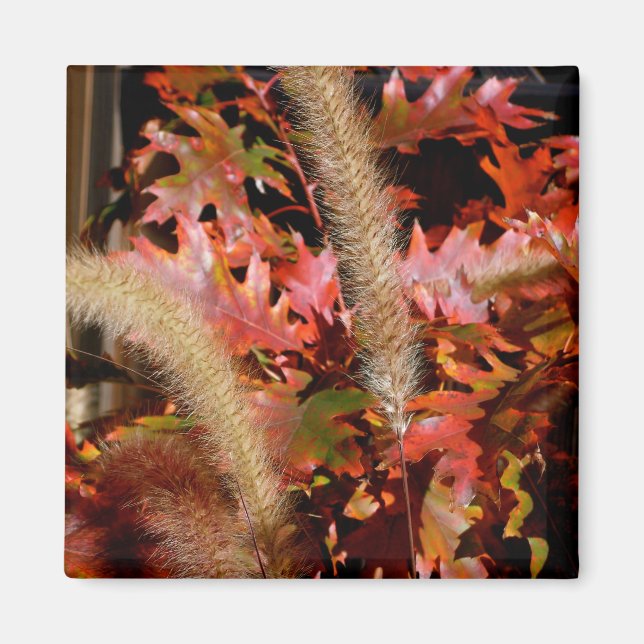 Imán Colores de otoño (Frente)