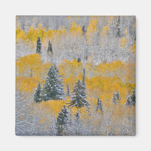 Imán Colores de otoño de ápenes y paso de nevada fresca