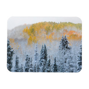 Imán Colores de otoño de ápenes y paso de nevada fresca