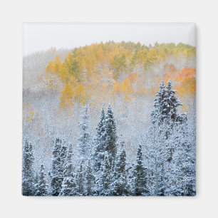 Imán Colores de otoño de Aspens y nieve fresca Keebler 