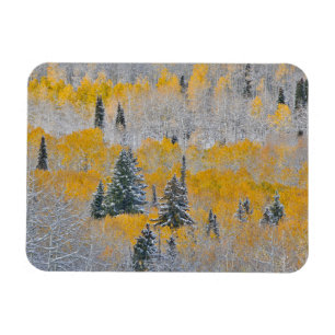 Imán Colores de otoño de Aspens y nieve fresca Keebler