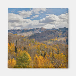 Imán Colores de otoño de Aspens y Robles Keebler Pass