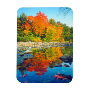 Imán Colores de otoño reflejados en un arroyo en Vermon