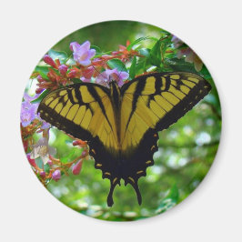 Imán Colores de verano