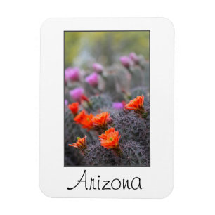 Imán Colores del desierto de Arizona