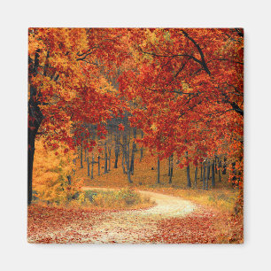 Imán Colores estacionales del otoño