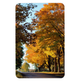 Imán Colores otoñales en la carretera rural