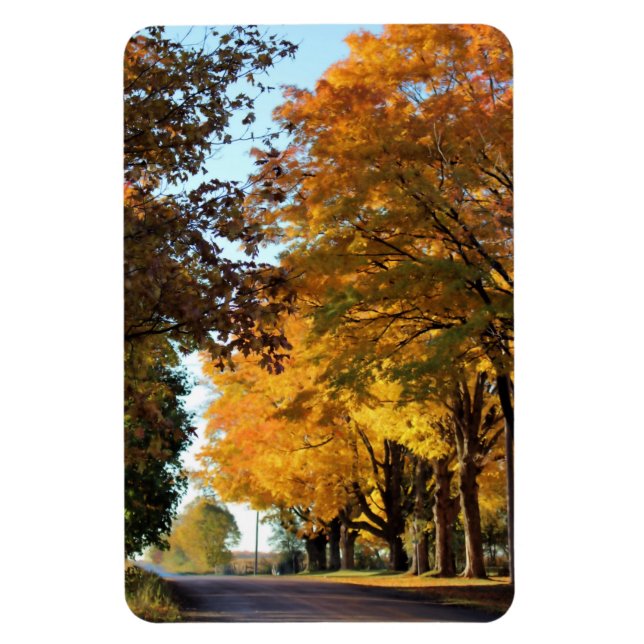 Imán Colores otoñales en la carretera rural (Vertical)