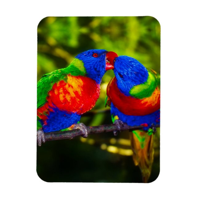 Imán Colorful Couple of Kissing Parrots (Vertical)
