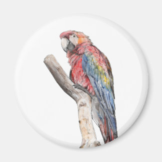 Imán Colorida acuarela de loro de macao