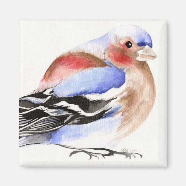 Imán Colorido Chaffinch 2011 (Frente)