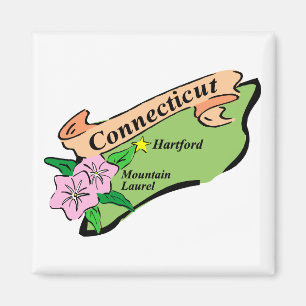 Imán Colorido estado de Connecticut Mapa, Tees, regalos