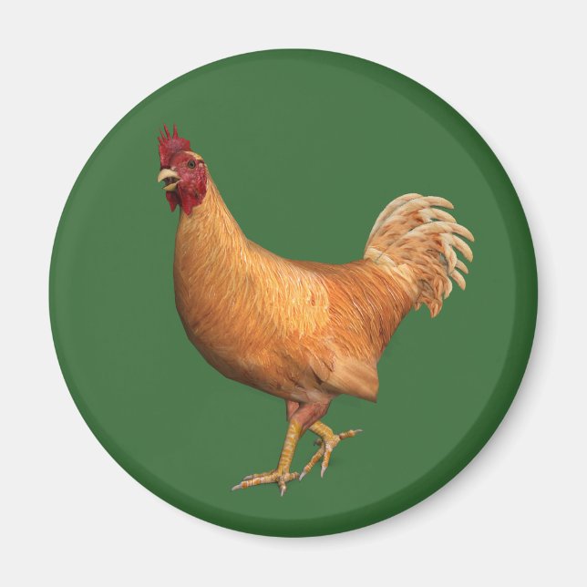Imán Colorido Naranja Rooster (Frente)