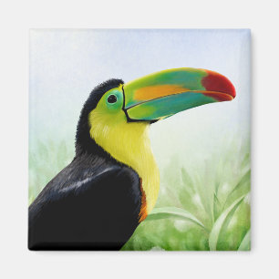 Imán Colorido pájaro tropical negro amarillo verde toca