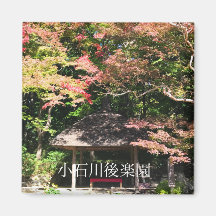 Coloridos arboles de arce y casa de descanso