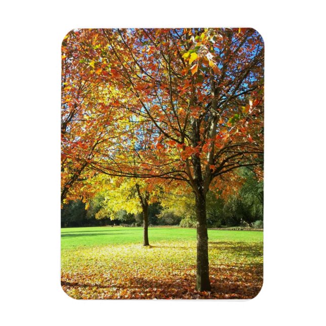 Imán Coloridos árboles del otoño (Vertical)