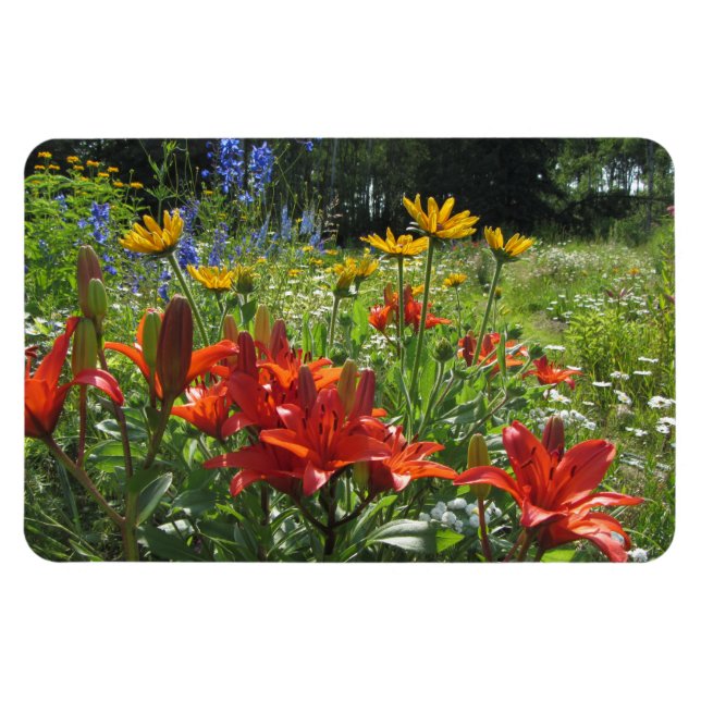 Imán ¡Coloridos Jardines Medianos! (Horizontal)