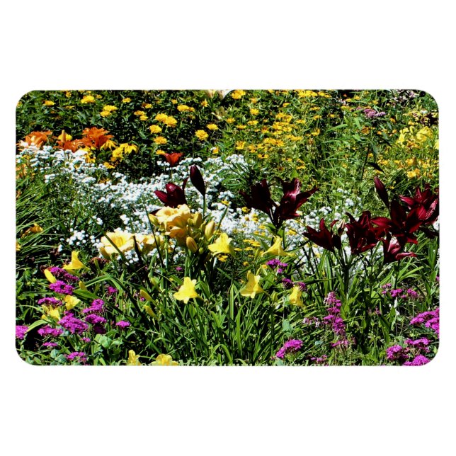 Imán ¡Coloridos Jardines Medianos! (Horizontal)