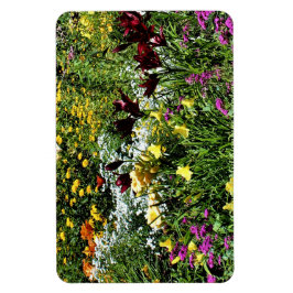 Imán ¡Coloridos Jardines Medianos!