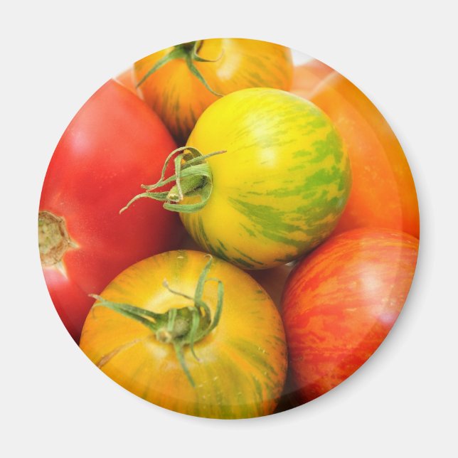 Imán Colorosos tomates Heirloom (Frente)