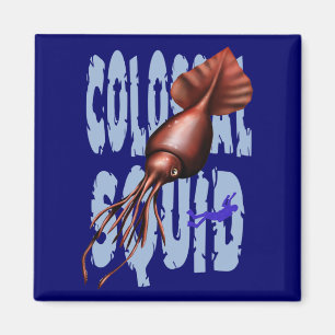 Imán colosal del calamar